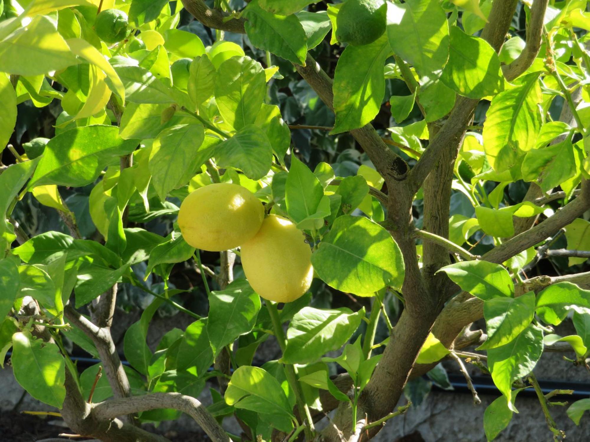 مبيت وإفطار لا كادير دازور Domaine De Claude المظهر الخارجي الصورة